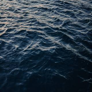 Sea surface wallpaper
