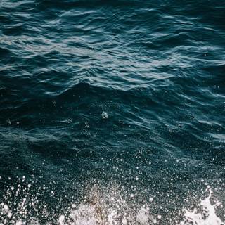 Sea surface wallpaper