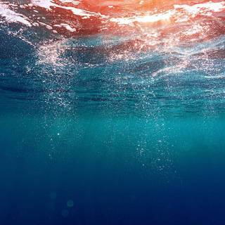Sea surface wallpaper