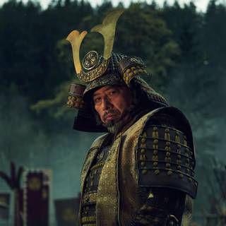 Shogun series wallpaper