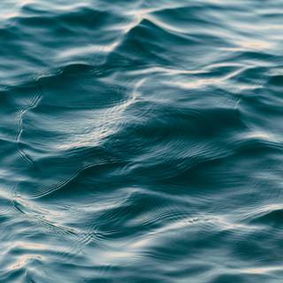 Sea surface wallpaper