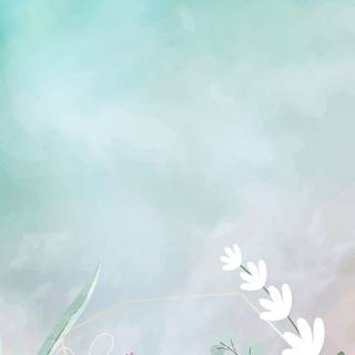 Soft light wallpaper