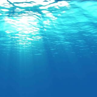 Sea surface wallpaper