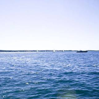 Sea surface wallpaper