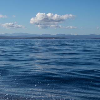 Sea surface wallpaper