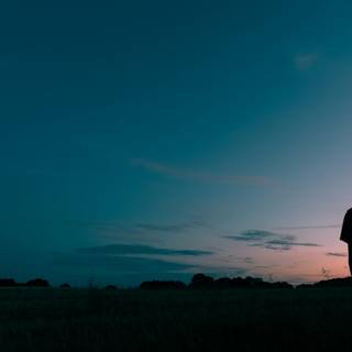 Alone boy sunset wallpaper