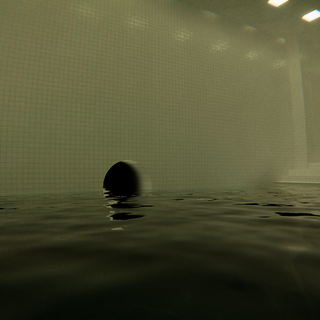 Liminal pool wallpaper