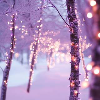 Soft light wallpaper