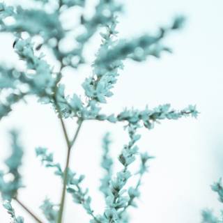 Soft light wallpaper