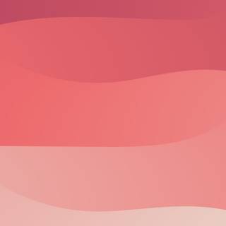 Shades of pink wallpaper