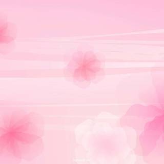 Shades of pink wallpaper