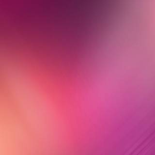 Shades of pink wallpaper