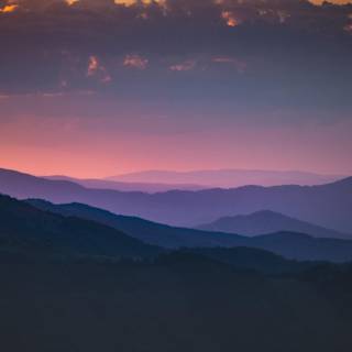 Shades of pink wallpaper