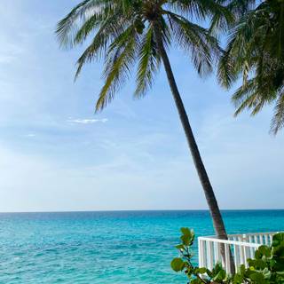 Cuba beach wallpaper