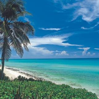 Cuba beach wallpaper