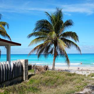 Cuba beach wallpaper