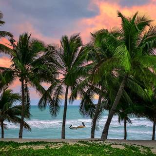 Cuba beach wallpaper