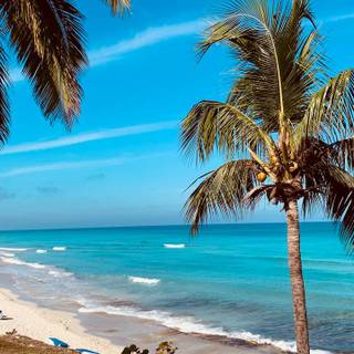 Cuba beach wallpaper
