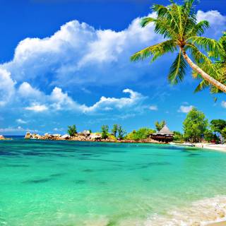 Cuba beach wallpaper