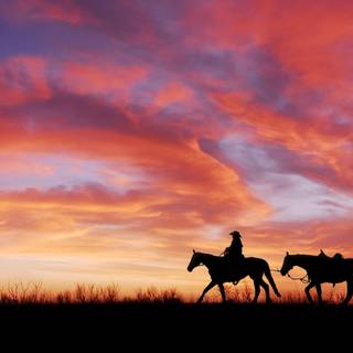 Cowboy art wallpaper