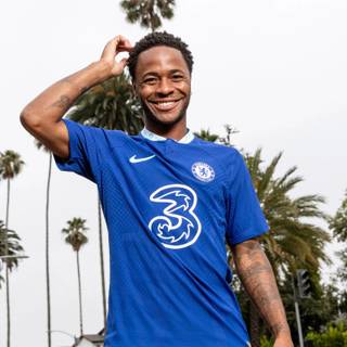 Sterling Chelsea wallpaper