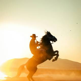 Cowboy art wallpaper