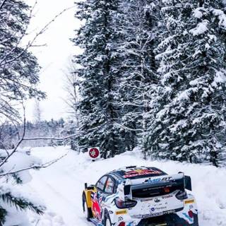 Snow rally wallpaper