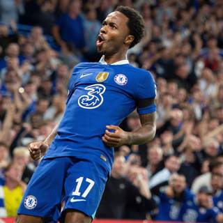 Sterling Chelsea wallpaper