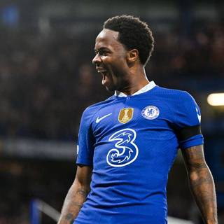 Sterling Chelsea wallpaper