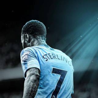 Sterling Chelsea wallpaper