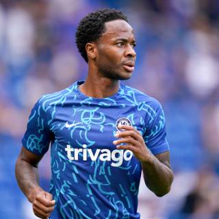 Sterling Chelsea wallpaper