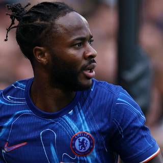 Sterling Chelsea wallpaper