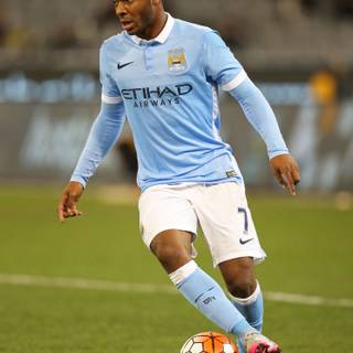 Sterling Chelsea wallpaper