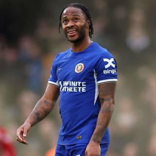 Sterling Chelsea wallpaper