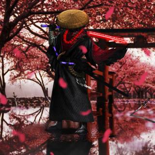 Cherry Blossom samurai wallpaper