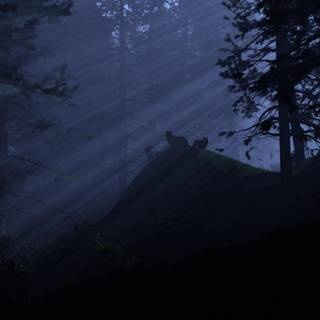 Nightwatch wallpaper