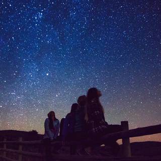 Nightwatch wallpaper