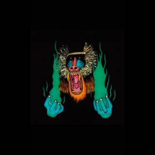 Hiatus Kaiyote wallpaper