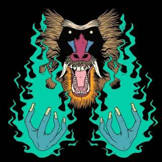 Hiatus Kaiyote wallpaper