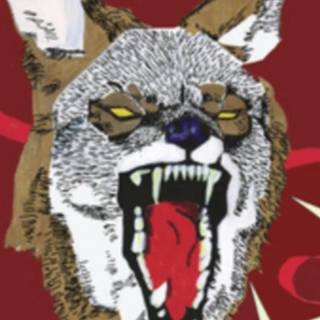 Hiatus Kaiyote wallpaper