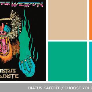 Hiatus Kaiyote wallpaper