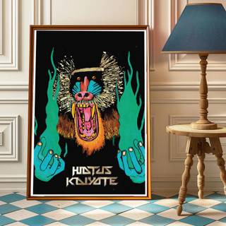 Hiatus Kaiyote wallpaper