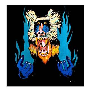 Hiatus Kaiyote wallpaper