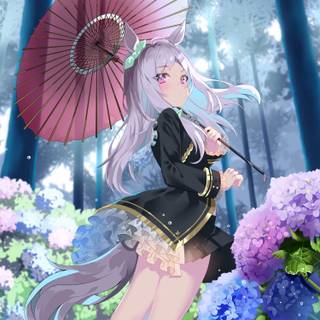 Mejiro McQueen wallpaper