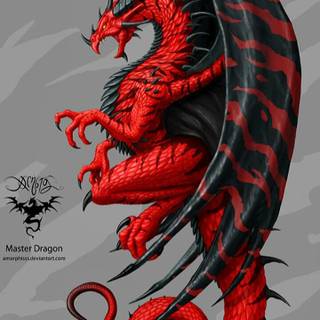 Celtic Dragon wallpaper