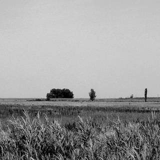 Béla Tarr wallpaper