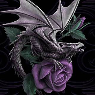 Celtic Dragon wallpaper