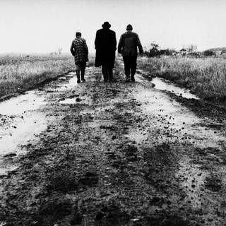 Béla Tarr wallpaper