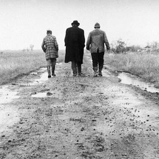 Béla Tarr wallpaper