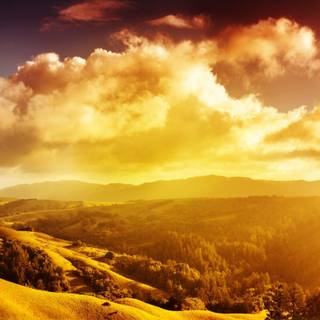 Warm nature wallpaper